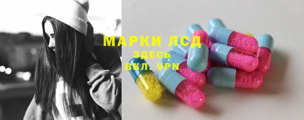 стафф Арсеньев
