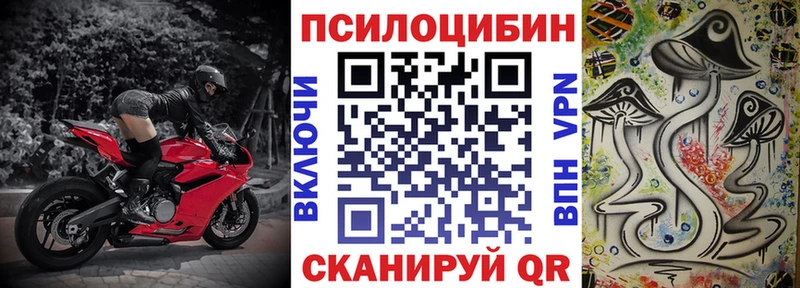 Псилоцибиновые грибы Cubensis  Купить закладки  Мичуринск 
